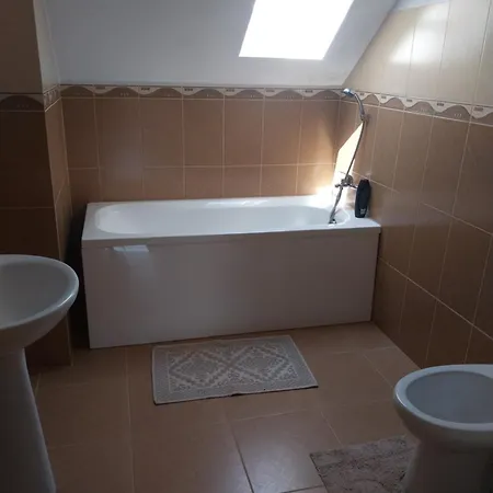 Guest house Serena House Cartisoara