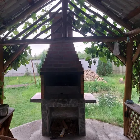 Serena House Cartisoara